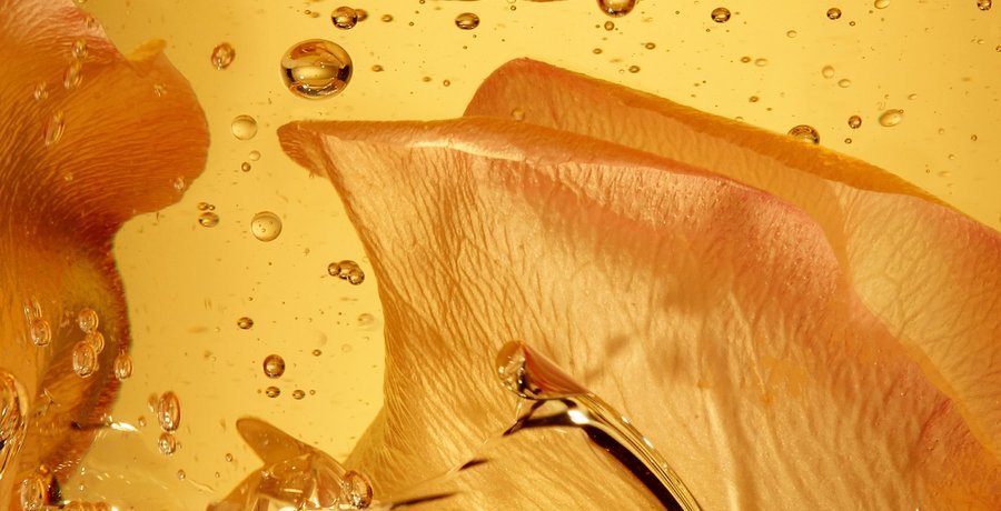 Hero Banner Image