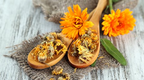 A körömvirág és annak felhasználása érzékeny bőrre