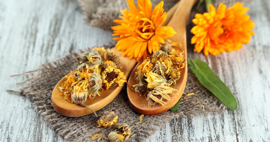 A körömvirág és annak felhasználása érzékeny bőrre - hero