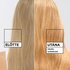 Garnier Olia Gloss - Színező hajpakolás Old Money Blonde - 5
