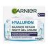 Garnier Skin Naturals Hyaluronic Aloe Jelly Night - 2